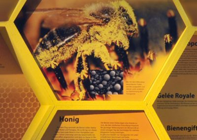 Honigbienen